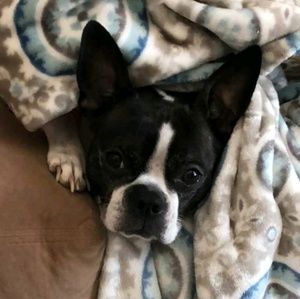 Meet your Posher, Brandi